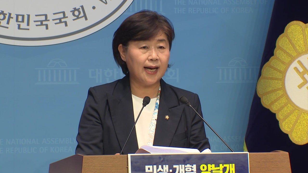 민주당 원내대표 경선, 김병기·서영교 '친명 양자 대결' / YTN