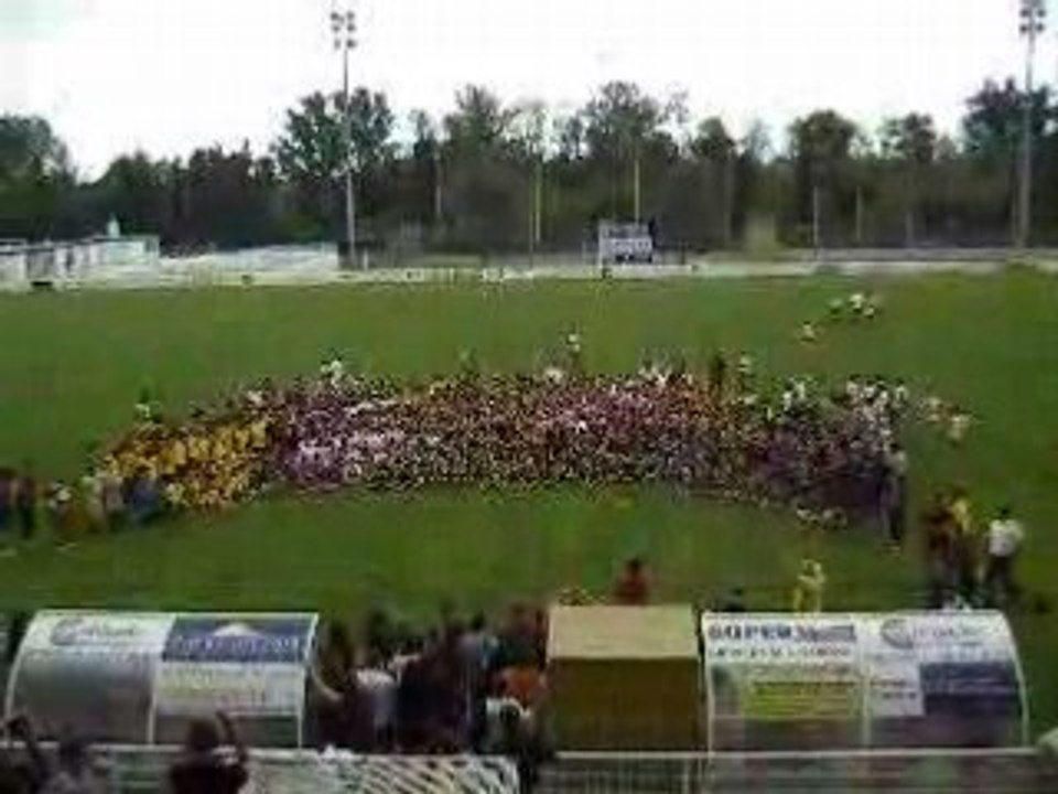 Les Holas du tournoi