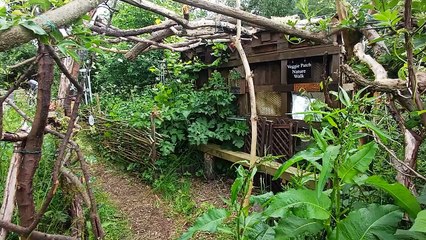 Wellingborough homeless charity's veggie patch open day raises £600 as green-fingered volunteers contribute to community allotment