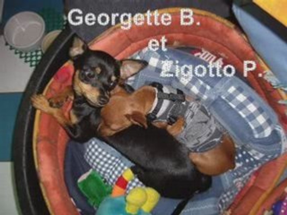 Georgette et Zigotto