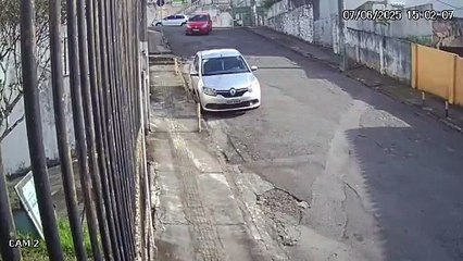 VÍDEO: Câmera flagra filhotes de cães sendo retirados de carro abandonados em bairro de Salvador; veja