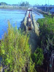 Truck Breakdown Caught on Cam – Bulldozer Handles It Like a Boss
