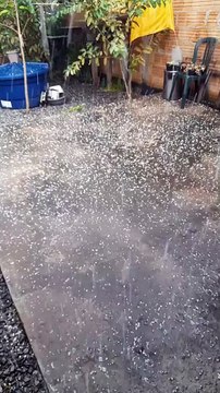 VÍDEO: Chuva de pedras é registrada na Zona Sul de Joinville