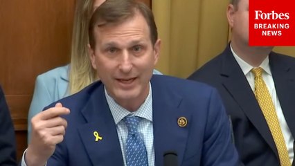 Dan Goldman Sounds Alarm About Palantir Building Massive Database For Government With All Citizens' Data