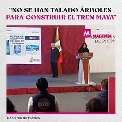 “No se han talado árboles para construir el Tren Maya”