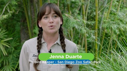 Is This The Most Complex Social Structure in the Animal Kingdom? Experts Seem To Think So