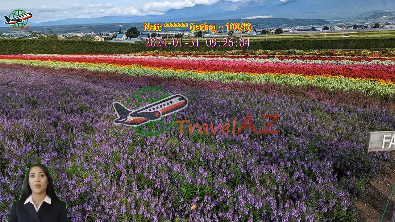 Review Asahiyama Zoo & Biei Blue Pond Day Tour