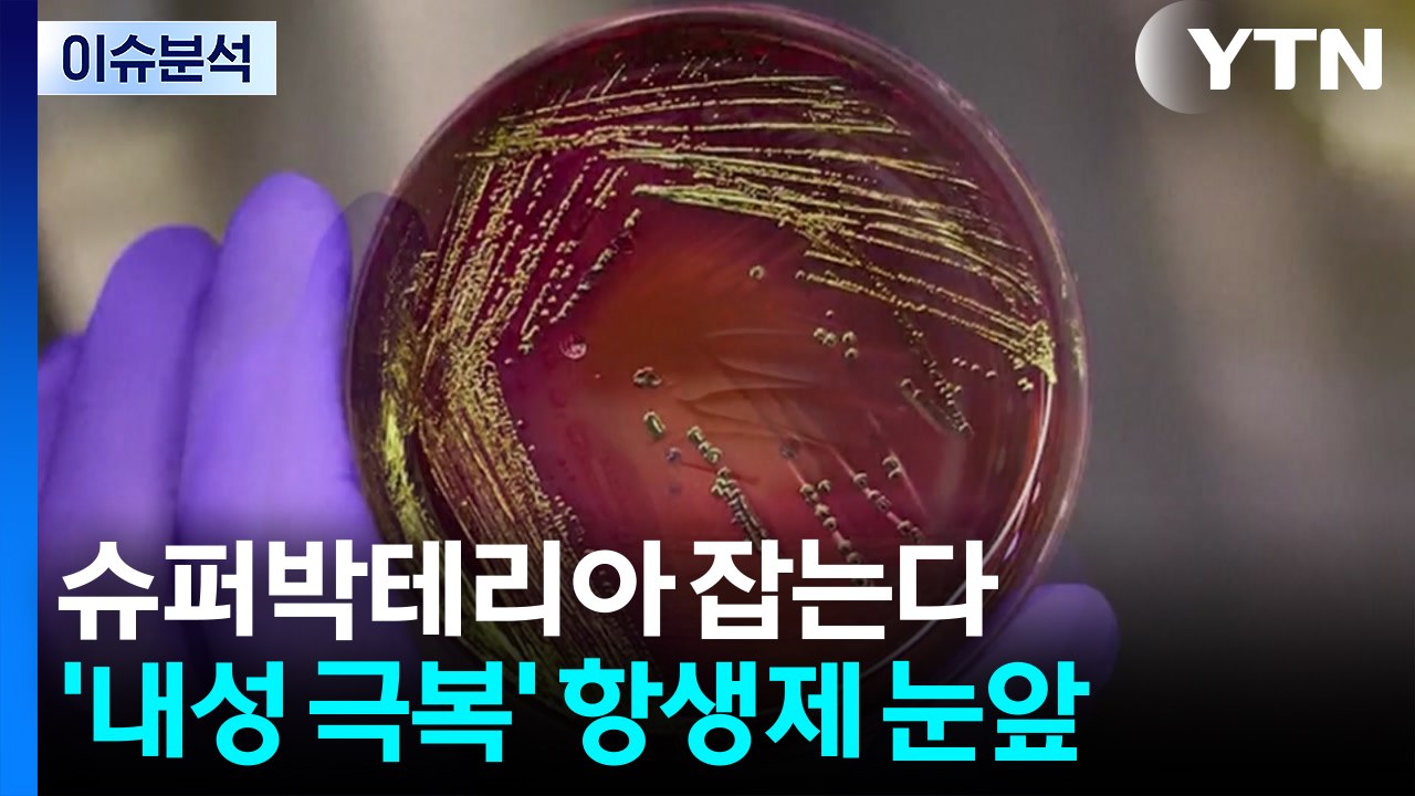슈퍼박테리아 잡는다...'내성 극복' 항생제 탄생 눈앞 / YTN