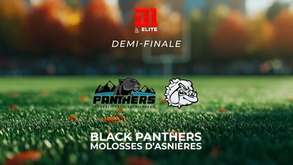 Black Panthers vs Molosses