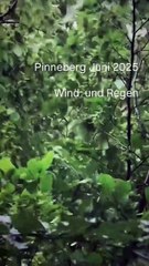 Pinneberg Juni 2025 - Wind und Regen