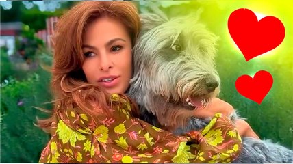 Video: Eva Mendes adoptoi koiran nimeltä Magic – ja vitsailee siitä, ketä se oikeasti rakastaa