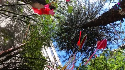 Este #DíaDelMedioAmbiente el enemigo no es invisible: es pequeño, cotidiano y está por todas partes.