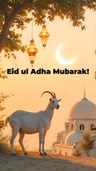 Eid-ul-Azha Mubarak! #EidulAzha #FragrantEidulAzha #foryou #fyp #foryoupage #EidMubarak #eiduladha