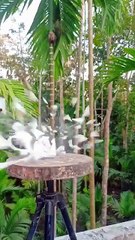 Top Security & Safety Hacks to Save Money at Home & Work! #SafetyHacks #CostSavingTips #HomeSecurity #BudgetSafety #SmartLiving