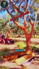 Why This Village Still Wears Clothes Made From Bark