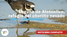 Laguna de Atotonilco, refugio del chorlito nevado | 767 |  09 al 15 de junio de 2025