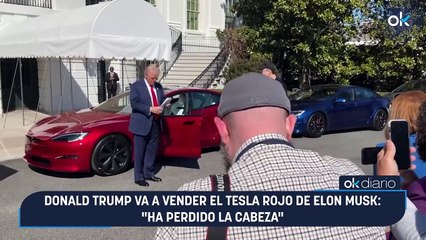 Donald Trump va a vender el Tesla rojo de Elon Musk: "Ha perdido la cabeza"