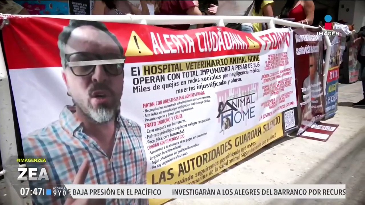 Animalistas se manifiestan ante los recientes casos de maltrato animal en la CDMX