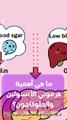 🧬🍬 كيف يعمل الأنسولين والجلوكاجون معًا للحفاظ على توازن السكر في الدم؟ الشرح المبسط هنا!