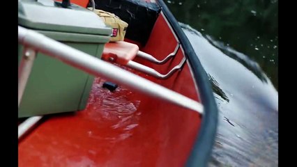 Jungle Survivors-Film Complet en Français-Horreur