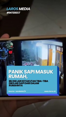 Ibu Ini Panik dan Lari Ketakutan, Ternyata Dikejar Sapi Dari Dalam Rumahnya