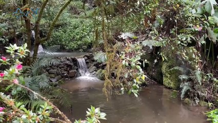 mqn-Un refugio de paz en el corazón del bosque- así es Casa San Rafael -060625
