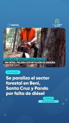 Se paraliza el sector forestal en Beni, Santa Cruz y Pando por falta de diésel