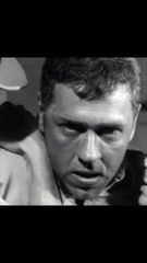 Girl on a Chain Gang | movie | 1966 | Official Teaser