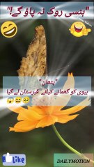 Pathan Apni Biwi Ko Ghumane Le Gaya | Funny Video | Must Watch 😂Funny Latifay Official  Urdu Jokes Hub  Latifay &