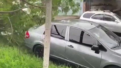 tn7-Árbol cae sobre carro tras caída de rayo y fuertes vientos-060523