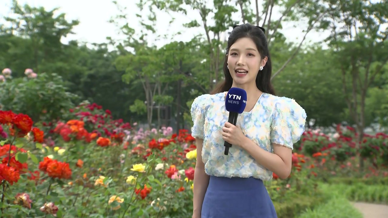 [날씨] 주말, 전국 30℃ 안팎 더위...'꽃의 여왕' 장미 절정 / YTN
