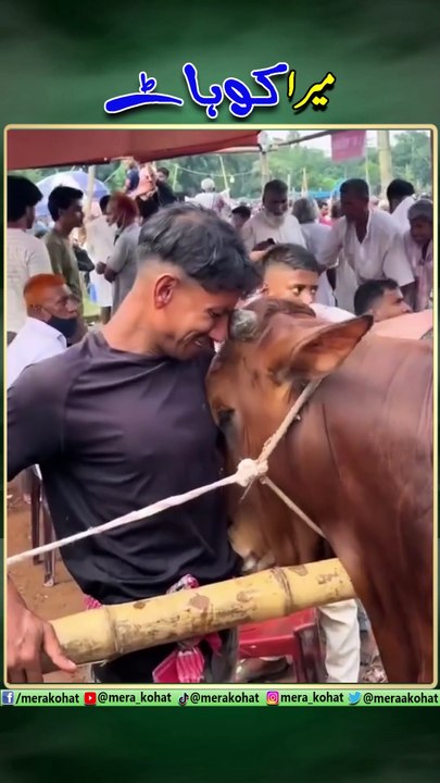 Eid Qurbani 2025