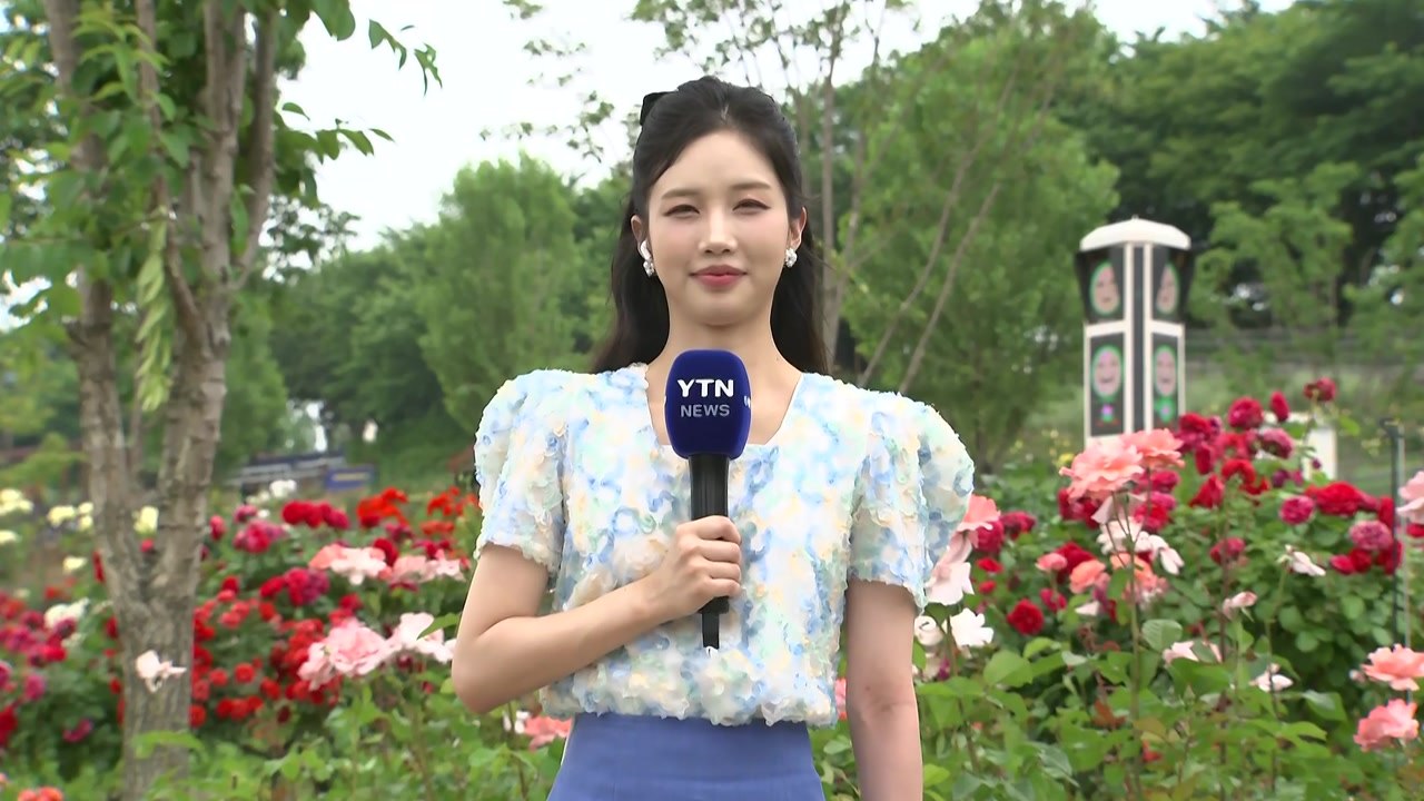 [날씨] 더위 계속, 서울 28℃·대전 31℃...초여름 장미 향연 / YTN