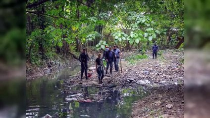 Niña niña arrastrada por cañada: más de 250 rescatistas la buscan
