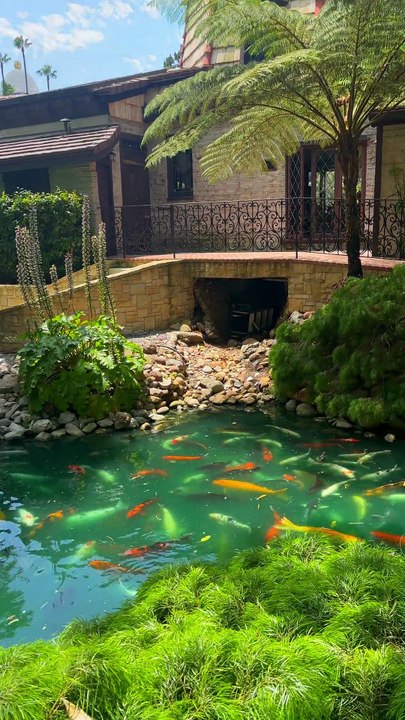 Discover Peace at the Self-Realization Fellowship Temple – Pacific Palisades’ Hidden Spiritual Gem