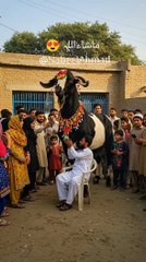 ماشاءاللہ بہت ہی خوبصورت بکرا