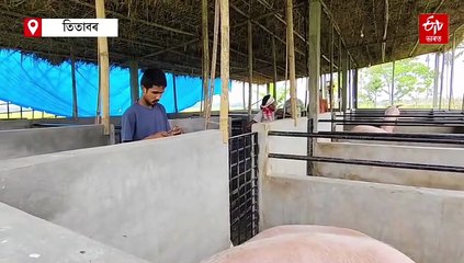 থলুৱাক অনাদৰ, চালানীক কদৰ: বহিঃৰাজ্যৰ গাহৰিৰে বজাৰ ভৰিছে