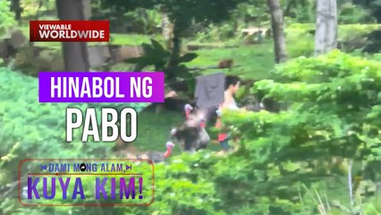 Babae, huli-cam na hinahabol ng mga pabo! | Dami Mong Alam, Kuya Kim!