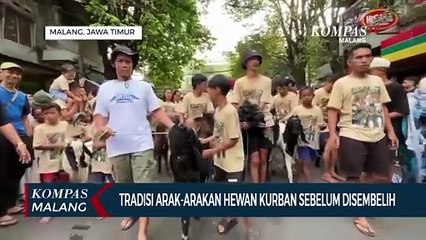 Melihat Tradisi Arak-Arakan Hewan Kurban Sebelum Disembelih di Malang