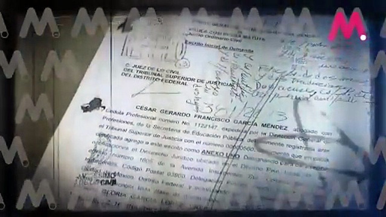 The Canales Papers