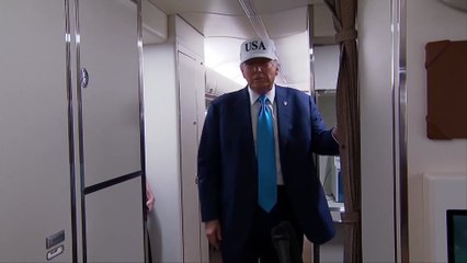 Trump on Musk's government contracts: 'We'll take a look at everything'