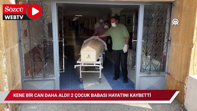 Kene bir can daha aldı! 2 çocuk babası hayatını kaybetti