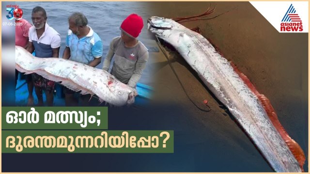 അന്ന് ജപ്പാൻ ഇന്ന് ഇന്ത്യ; തമിഴ്നാട്ടിൽ ഓർ മത്സ്യത്തിന്റെ സാന്നിധ്യം നൽകുന്നത് ദുരന്തമുന്നറിയിപ്പോ?