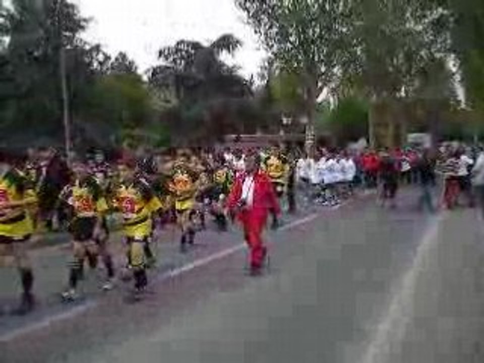 Défilé des écoles de rugby sur le pont de save