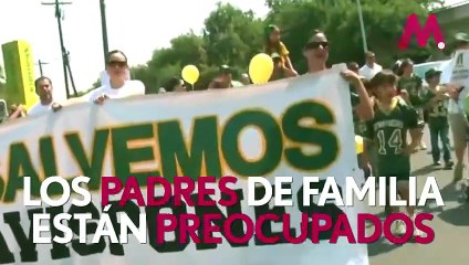 Avispones; juegos peligrosos