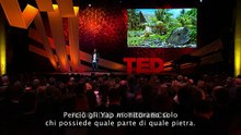 TED TALKS futuro della moneta le criptomonete - NehaNarula_2016 - SUB -ITA