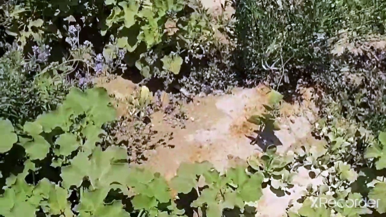 نقي قلبك قول قال الله تعالى وقول محمد صلى الله عليه وسلم لا تضر العلم ولا الباحثين في شيء