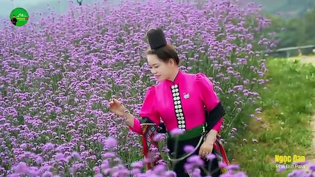 Watch Black Thai girl Ngoc Dan perform live instrumental music at Pha Din Pass PASS