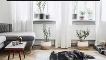 Ronnie Tarabay Tips For a Chic, Pet Friendly Home