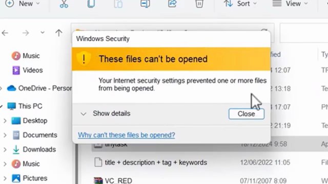 Fix These Files Can't Be Opened Error in Windows 11/10/8/7 | Internet Security Settings Blocked File ✅